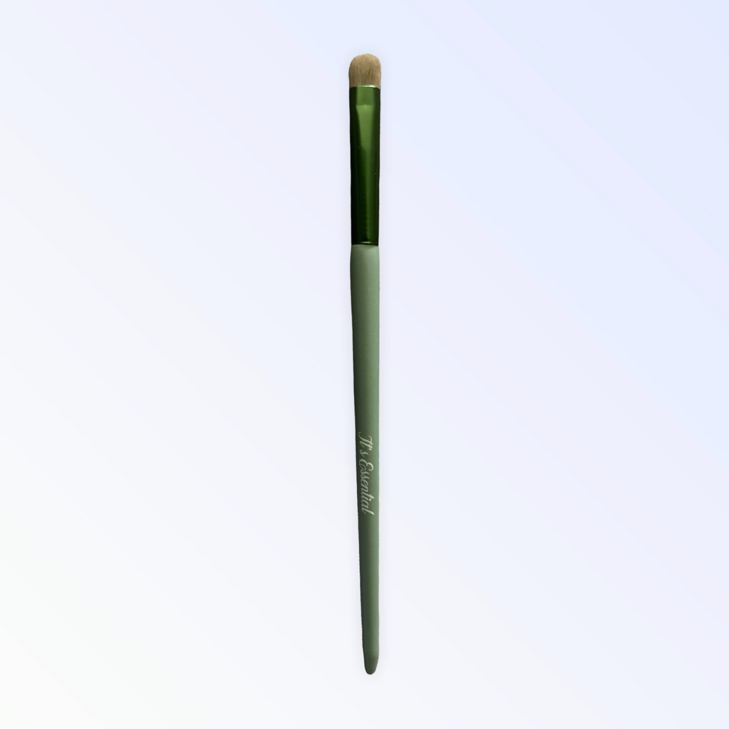 Eyebrow Dip Bundle